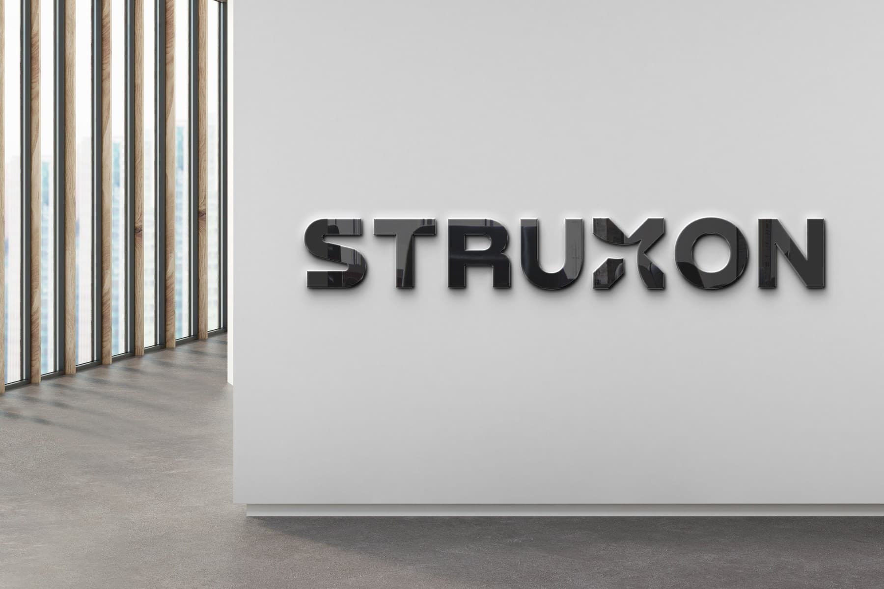 STRUXON dimensional signage on an office wall